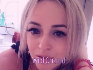 Wild_Orrchid