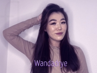 Wandadrye