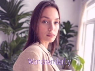 Wandaenderby