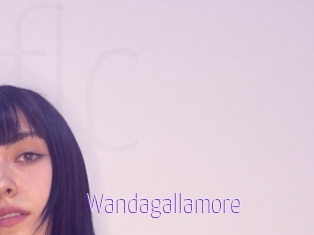 Wandagallamore