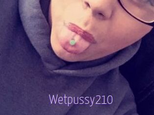 Wetpussy210
