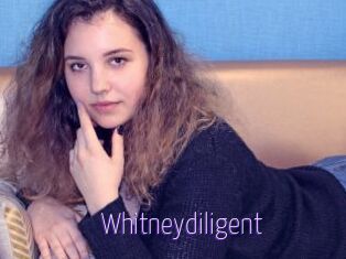 Whitneydiligent