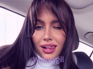 Whitneygill