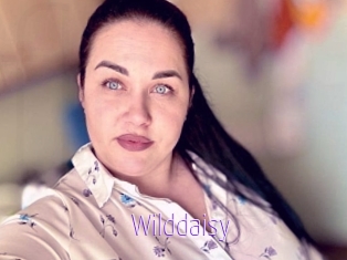 Wilddaisy
