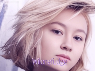 Wilonefudge