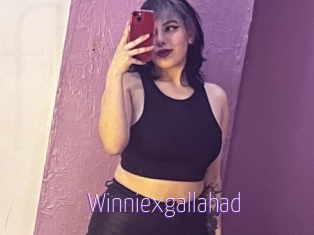 Winniexgallahad