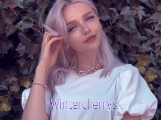 Wintercherrys