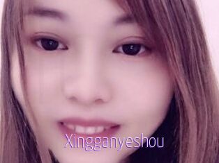 Xingganyeshou