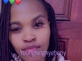Youngkingkyebony