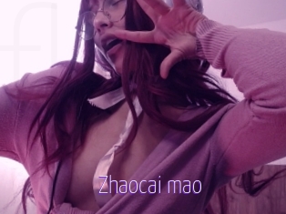 Zhaocai_mao